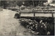 17-058.jpg
