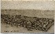 25-039.jpg