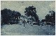 25-095.jpg